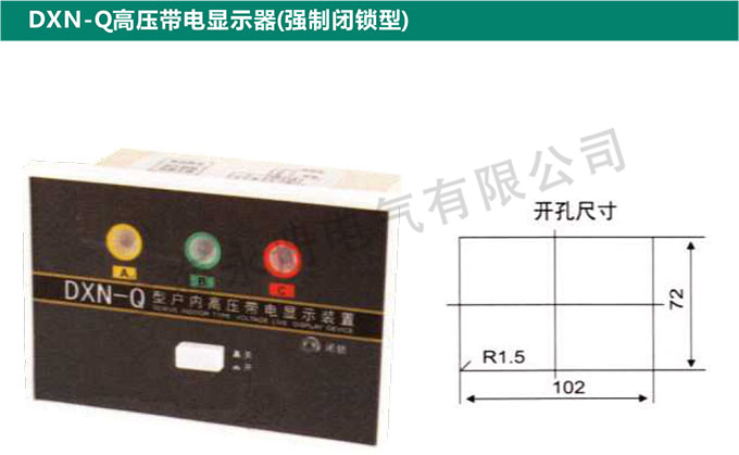 DXN-Q高壓帶電顯示器(強(qiáng)制閉鎖型)